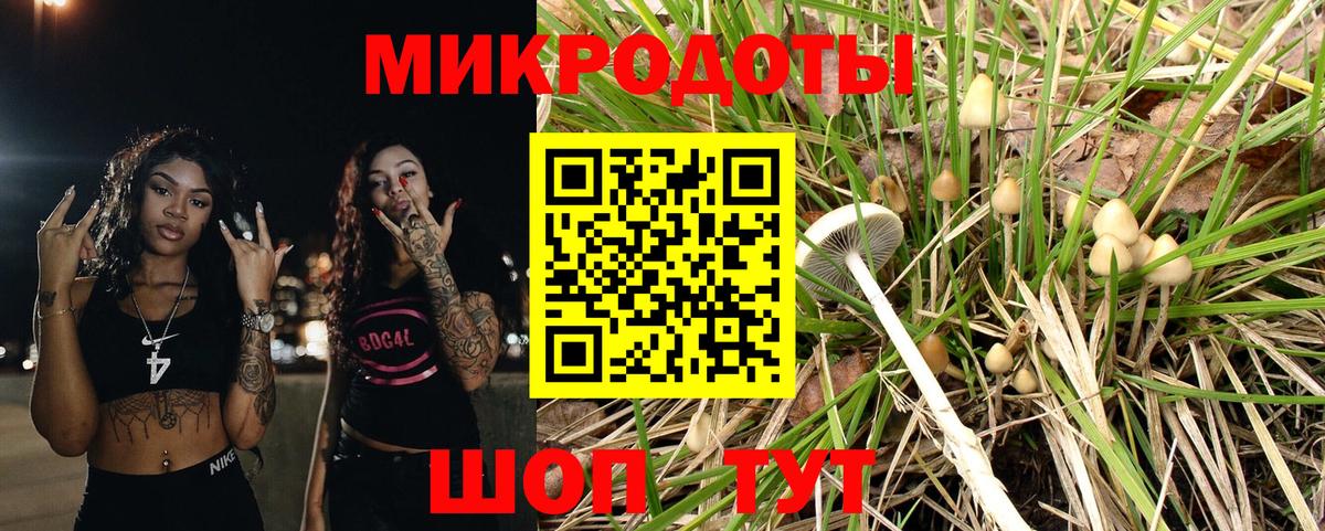 Псилоцибиновые грибы GOLDEN TEACHER Королёв