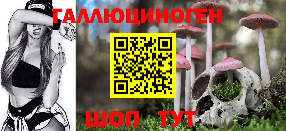 Псилоцибиновые грибы Psilocybine cubensis  Галлюциногенные грибы Magic Shrooms  Королёв  Вход с VPN 