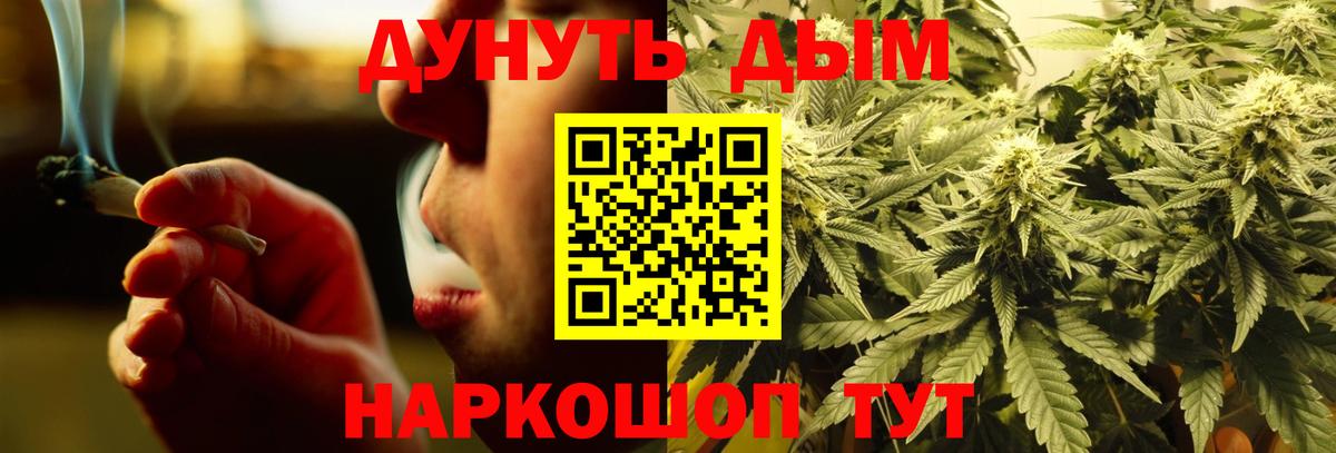 Бошки марихуана планчик  Вход с VPN  Королёв  МАРИХУАНА ГИДРОПОН  Бошки Шишки гибрид 